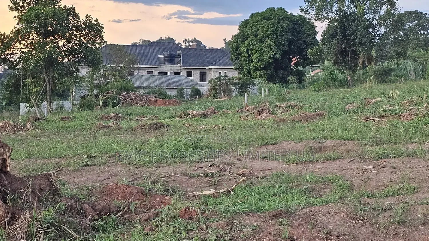 Prime Plots for Sale at Wakiso Namusera Mabombwe Town