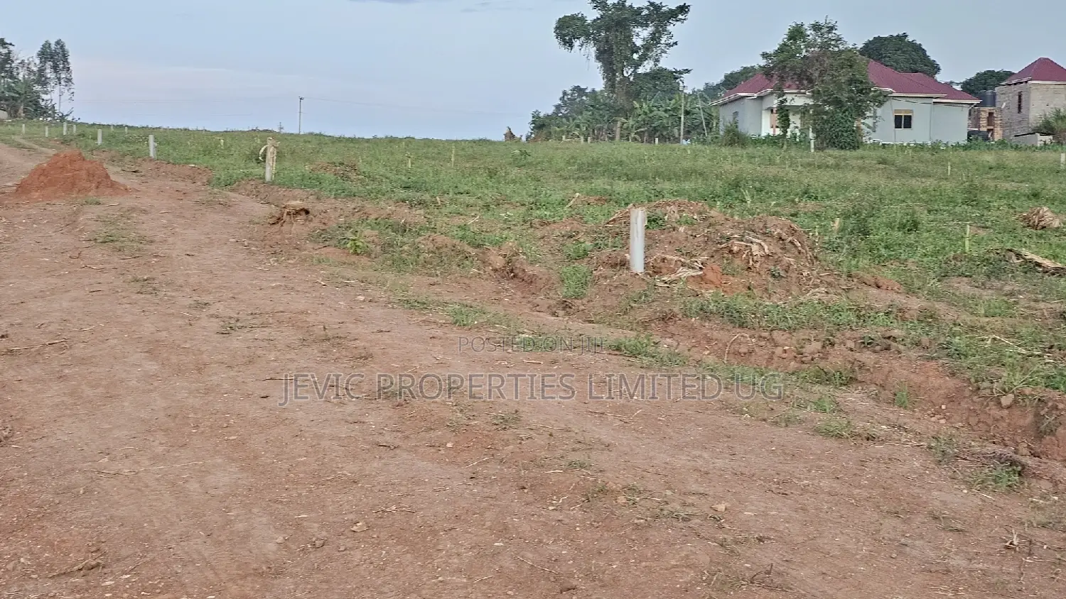 Prime Plots for Sale at Wakiso Namusera Mabombwe Town