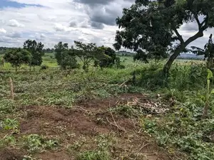 Acres in Busungu Namigavu