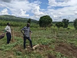 Acres in Busungu Namigavu