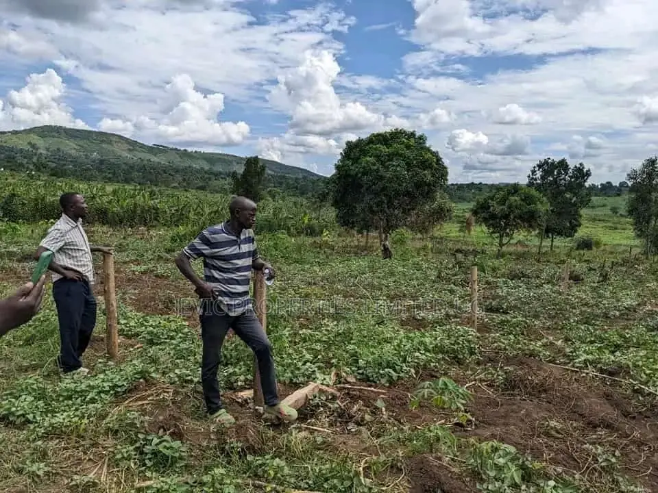 Acres in Busungu Namigavu