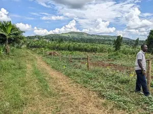 Acres in Busungu Namigavu