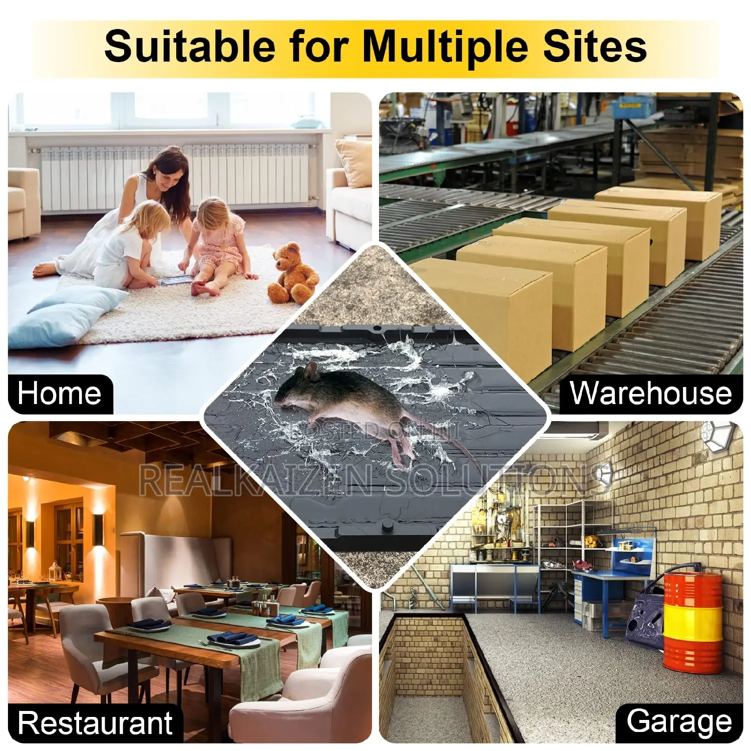 EXPERT CATCH Rat |Mice | Snake | Pests Large Glue Traps 2pcs