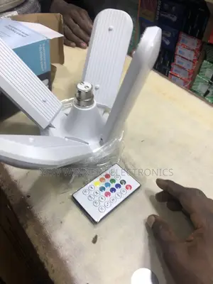 Bluetooth Music Folding Light