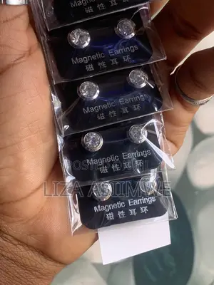 Magnetic Earpins