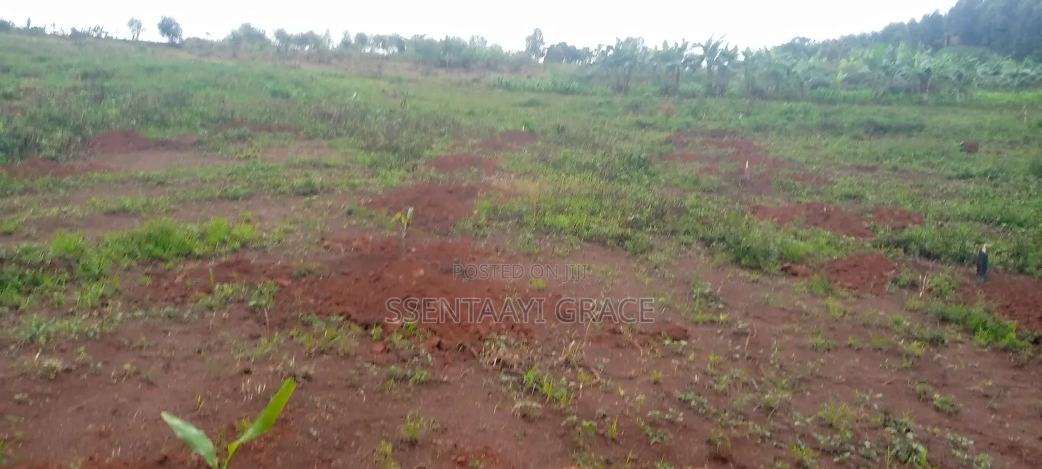 5 Acre Land With Tittle 25 Million Per Acre
