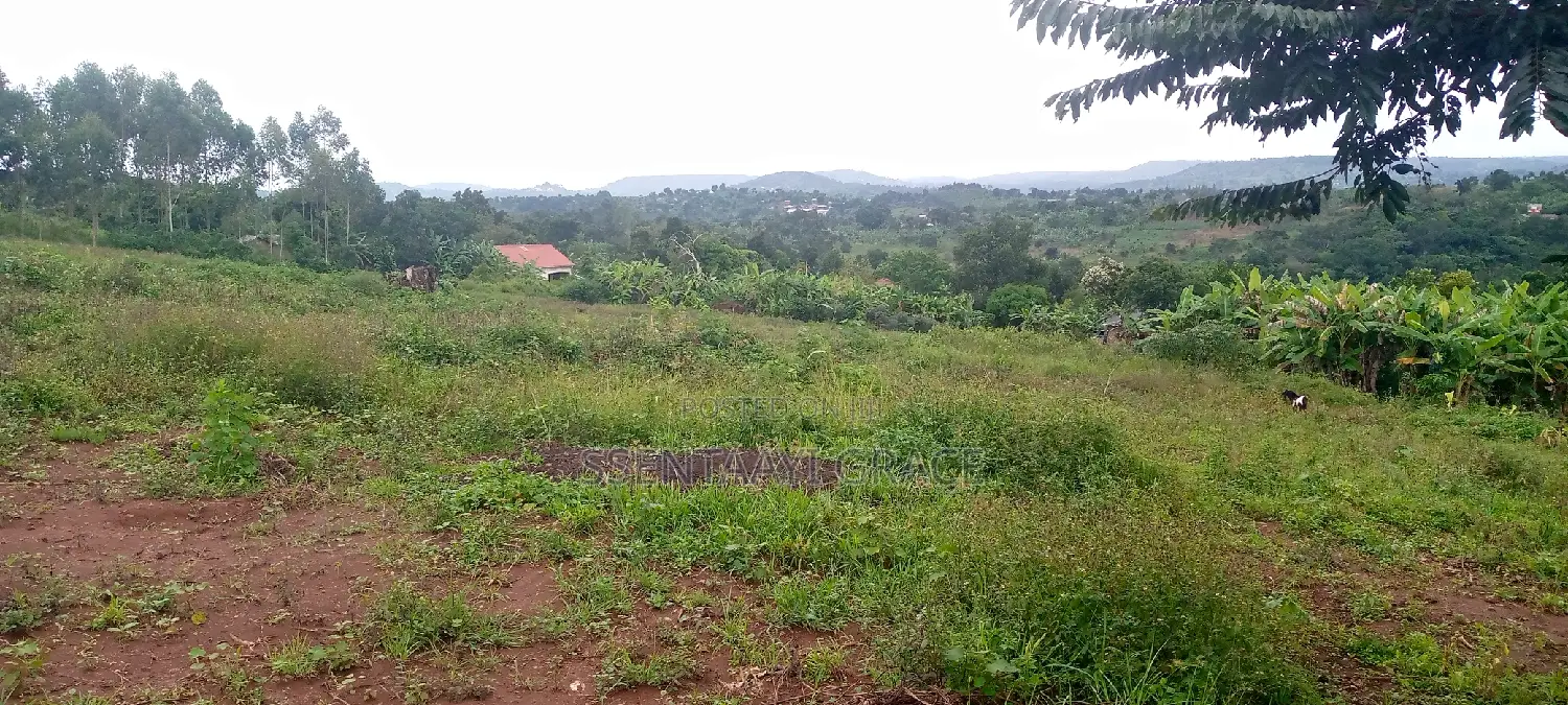 5 Acre Land With Tittle 25 Million Per Acre