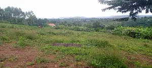 5 Acre Land With Tittle 25 Million Per Acre