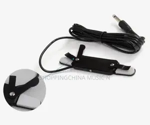 Guitar Pickup