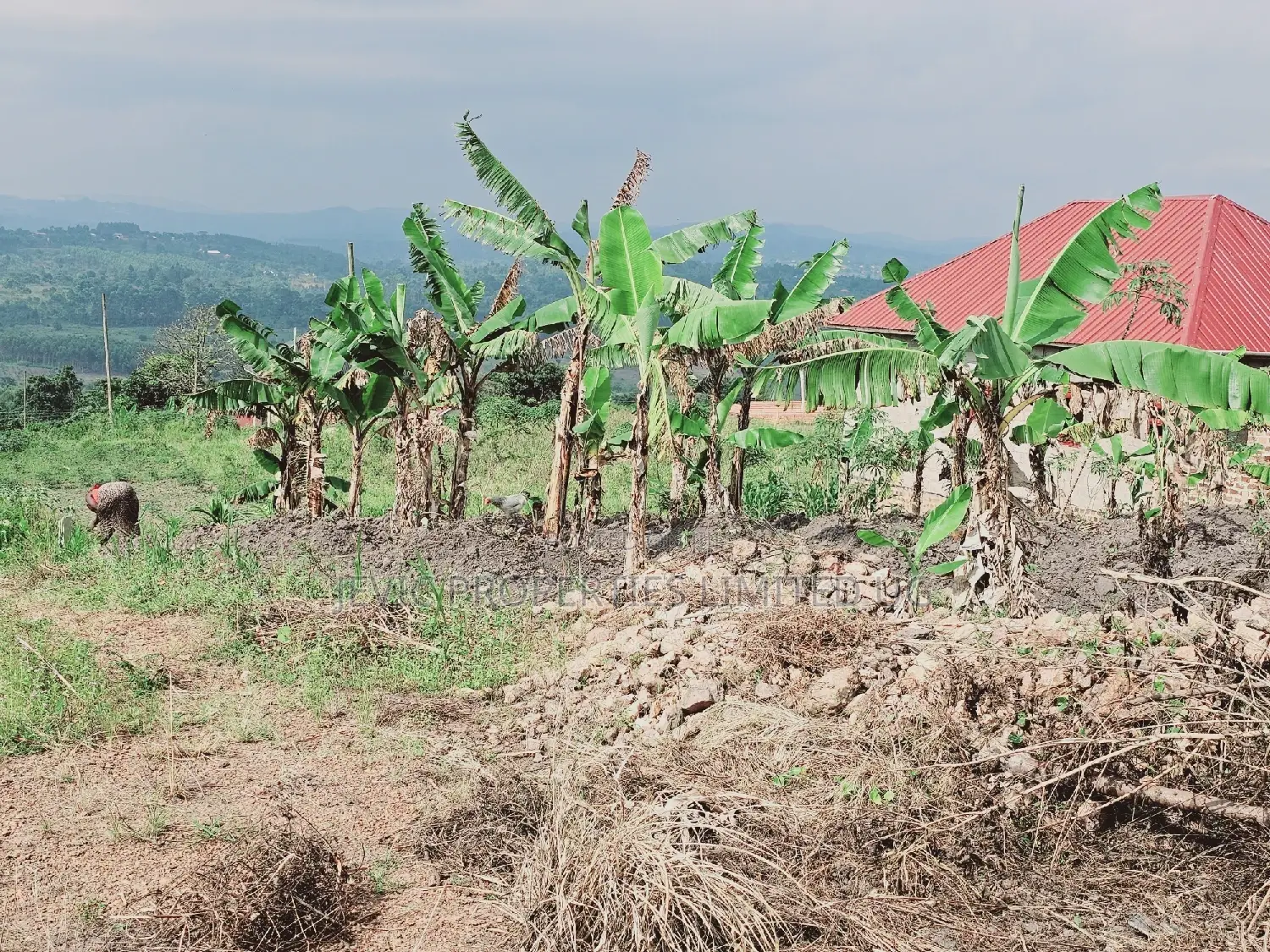 Quick Sale , Land at Kakiri Kikugi 2km Off Tarmac Police
