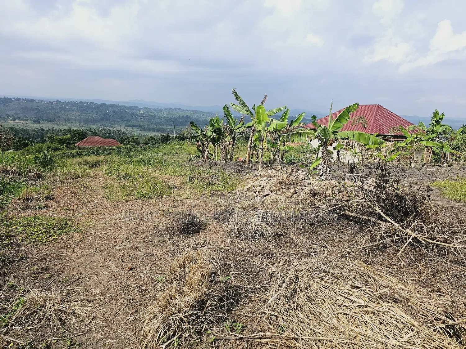 Quick Sale , Land at Kakiri Kikugi 2km Off Tarmac Police