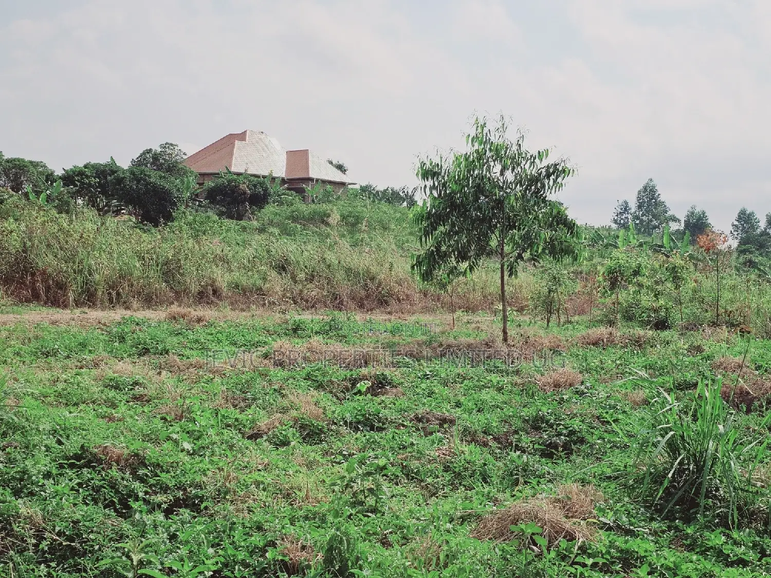 Quick Sale , Land at Kakiri Kikugi 2km Off Tarmac Police