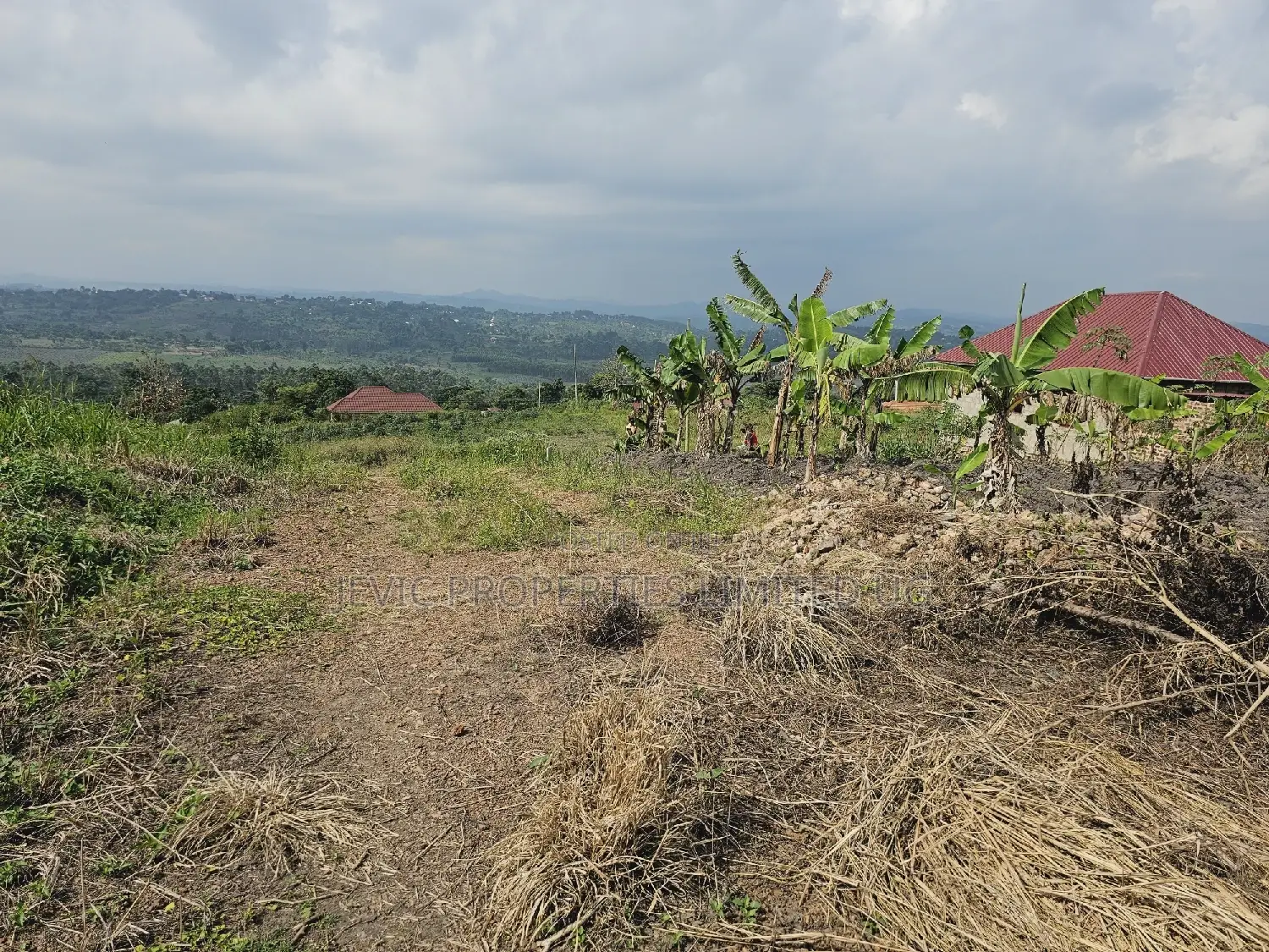 Quick Sale , Land at Kakiri Kikugi 2km Off Tarmac Police