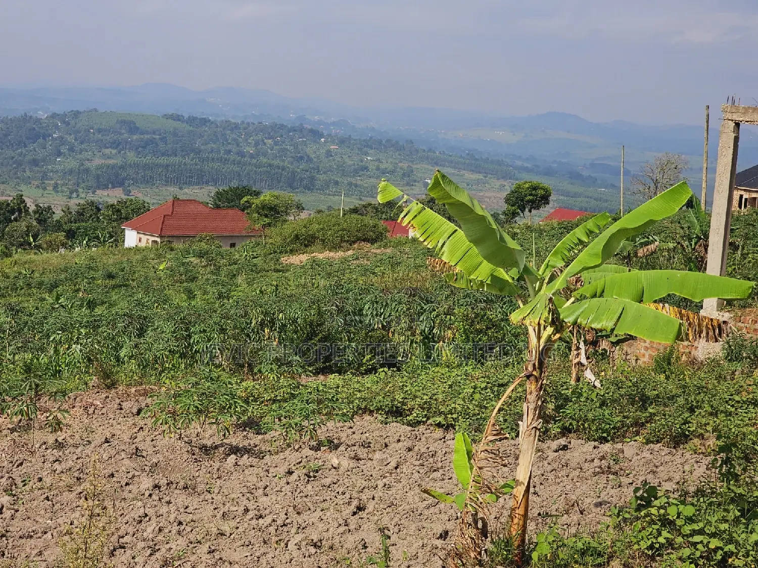 Quick Sale , Land at Kakiri Kikugi 2km Off Tarmac Police