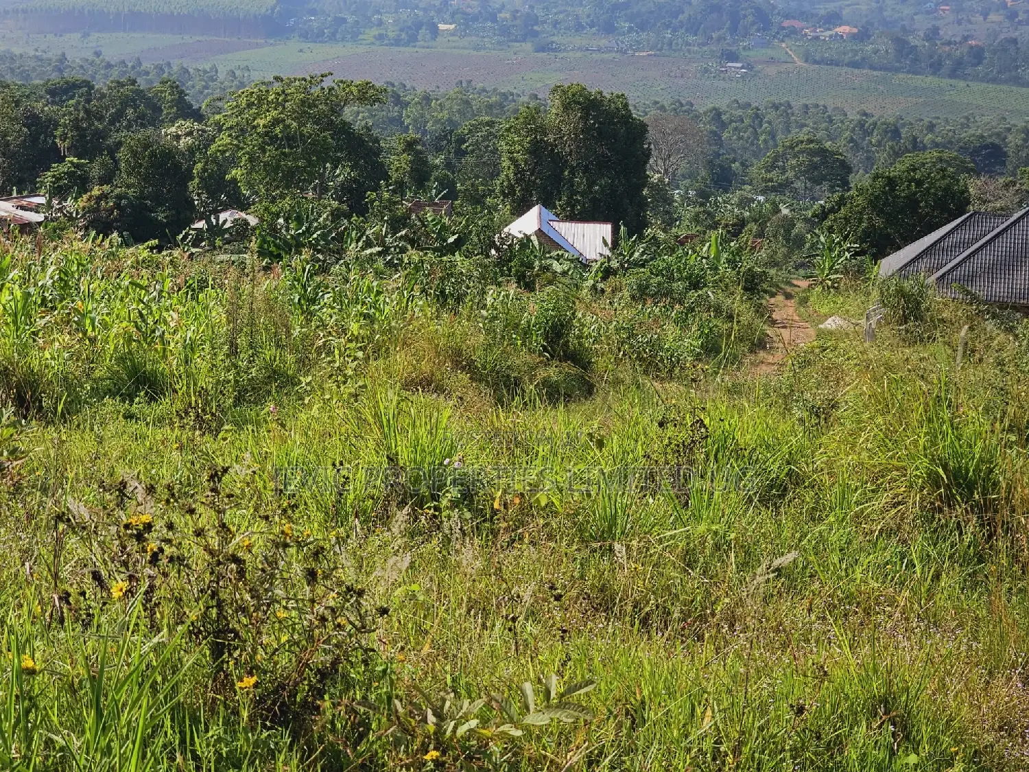 Quick Sale , Land at Kakiri Kikugi 2km Off Tarmac Police