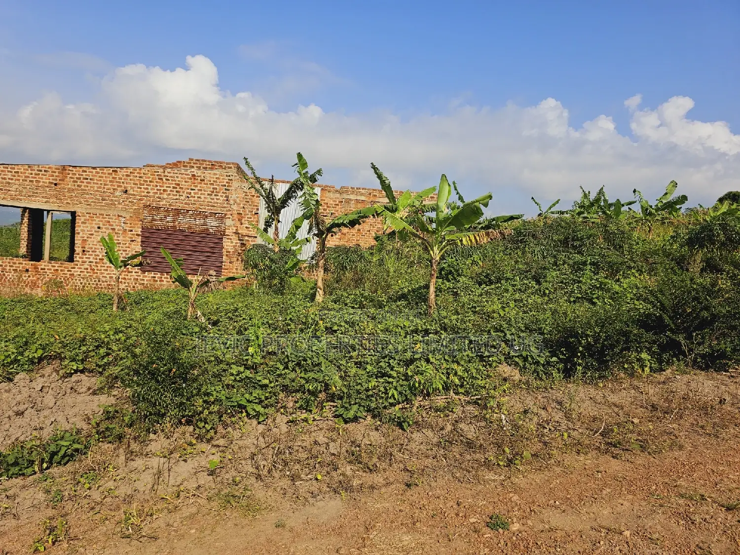 Quick Sale , Land at Kakiri Kikugi 2km Off Tarmac Police