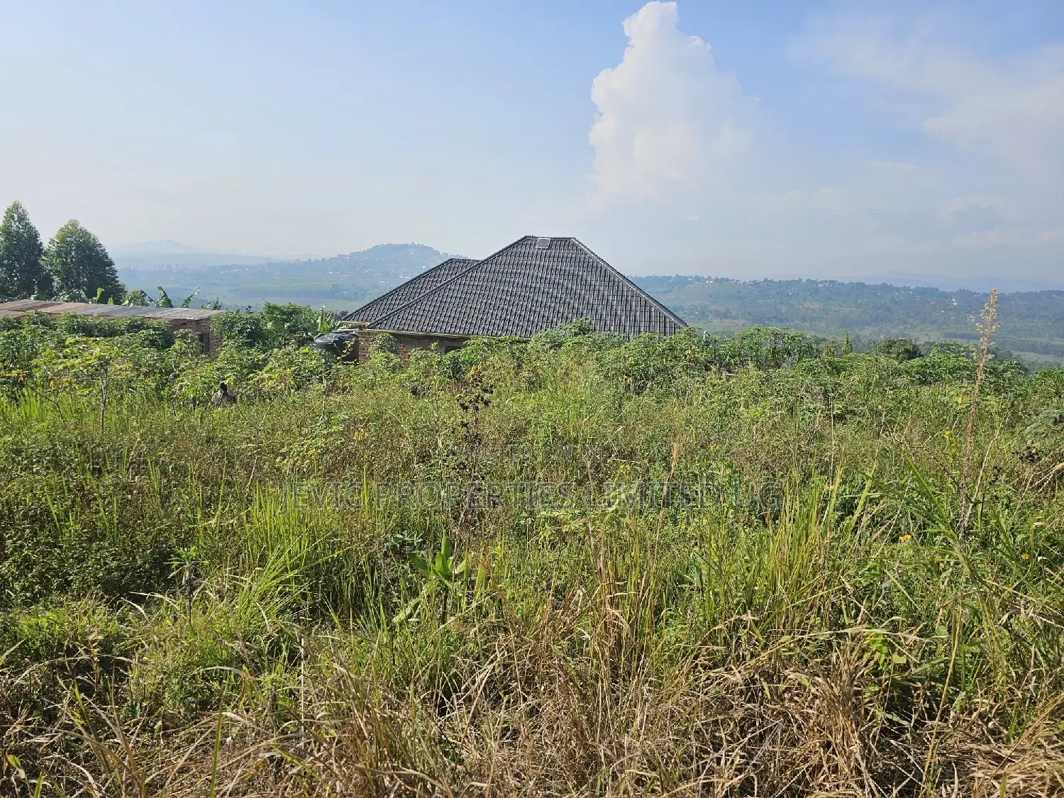 Quick Sale , Land at Kakiri Kikugi 2km Off Tarmac Police