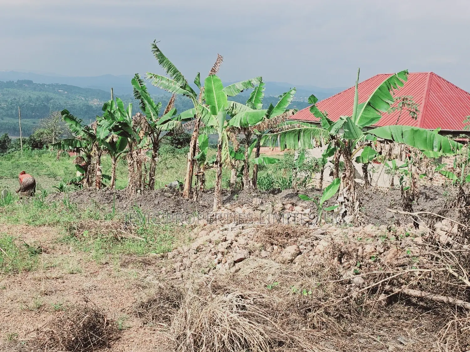 Titled Plot on Quick Sale Kakiri Kikugi Along Hoima Road