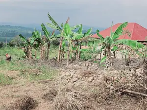 Titled Plot on Quick Sale Kakiri Kikugi Along Hoima Road