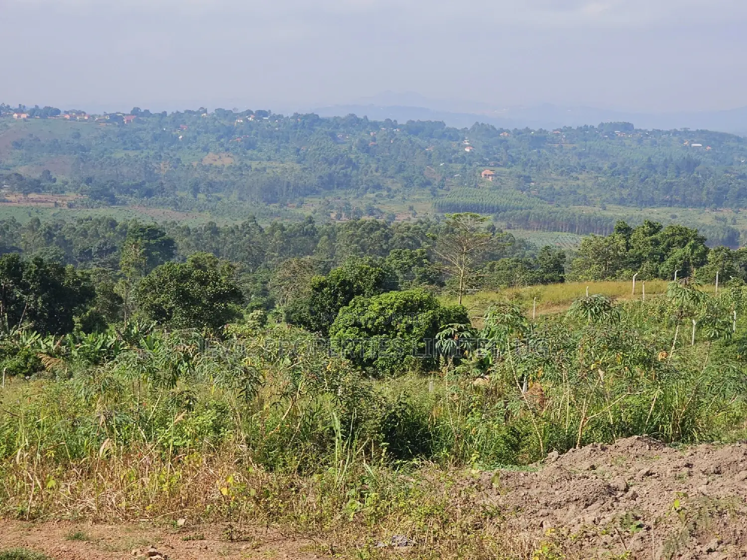 Titled Plot on Quick Sale Kakiri Kikugi Along Hoima Road