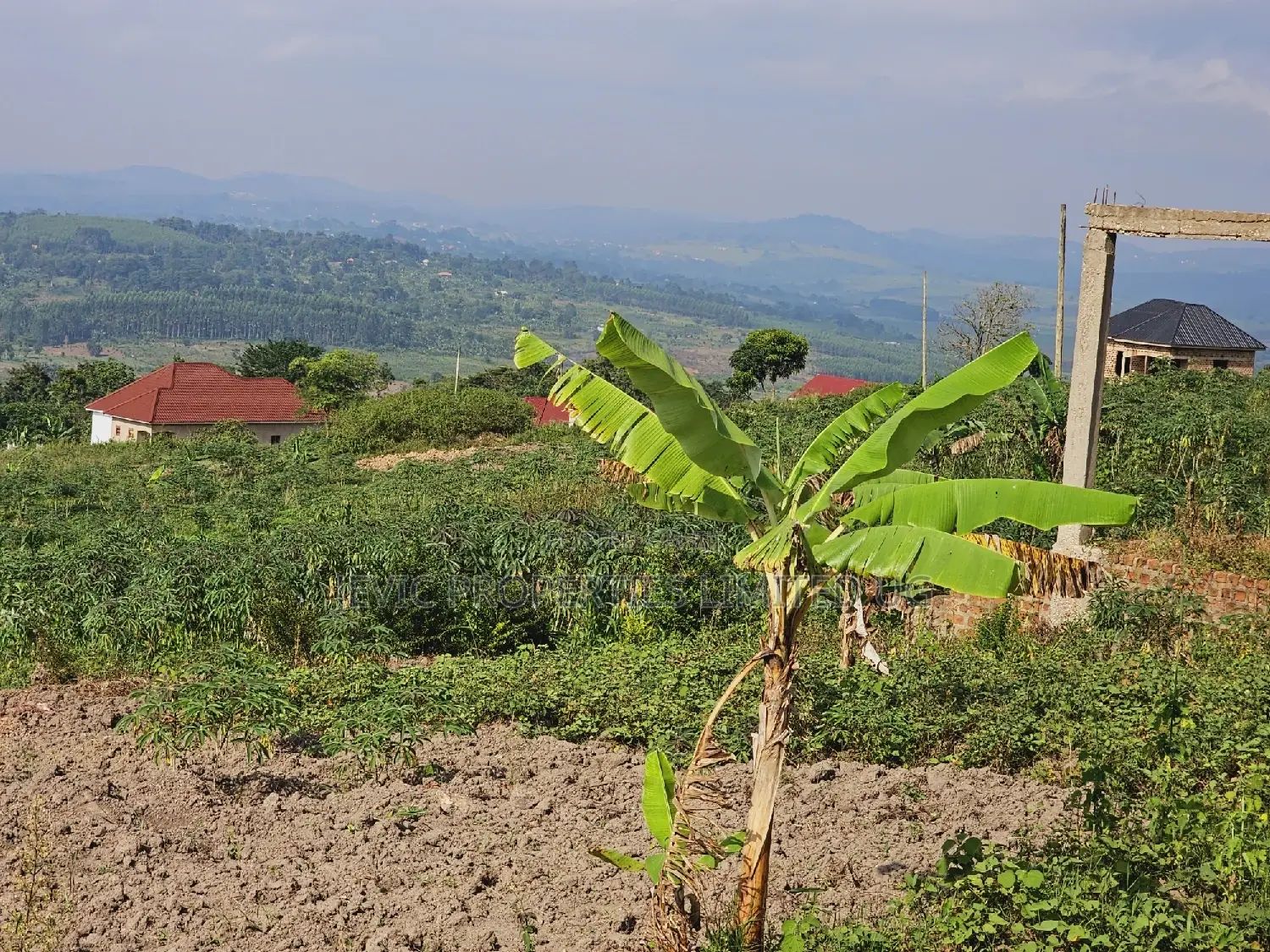 Titled Plot on Quick Sale Kakiri Kikugi Along Hoima Road