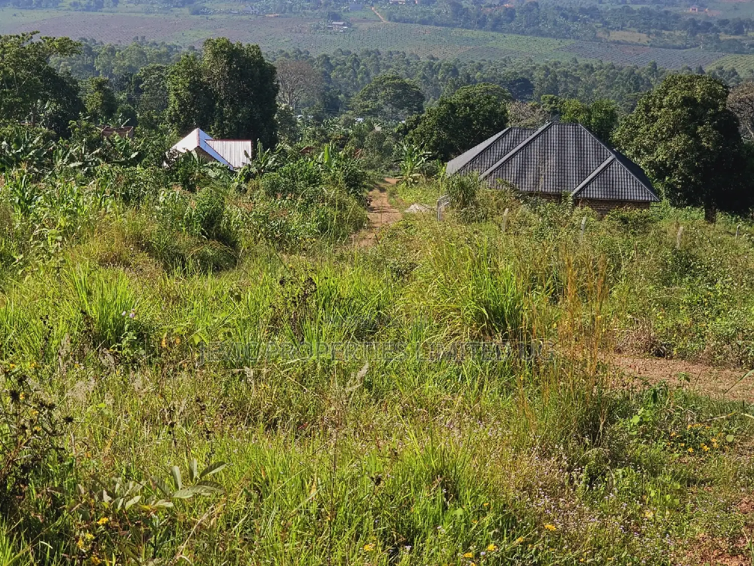 Titled Plot on Quick Sale Kakiri Kikugi Along Hoima Road
