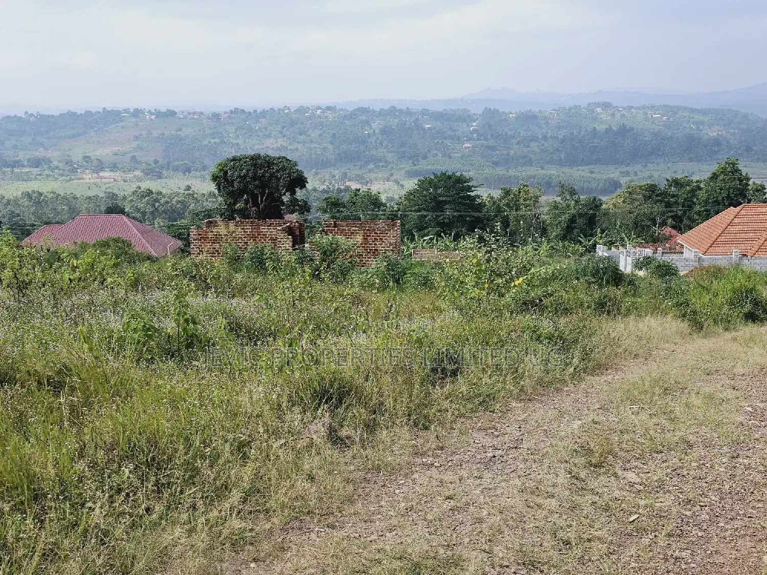 Do You Dream Big Biger ,Grab This Land No Regret
