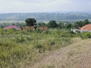 Do You Dream Big Biger ,Grab This Land No Regret