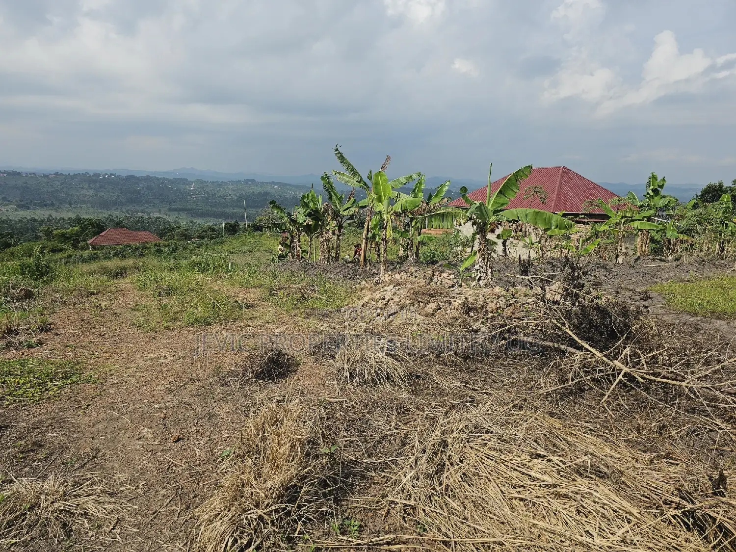 Do You Dream Big Biger ,Grab This Land No Regret