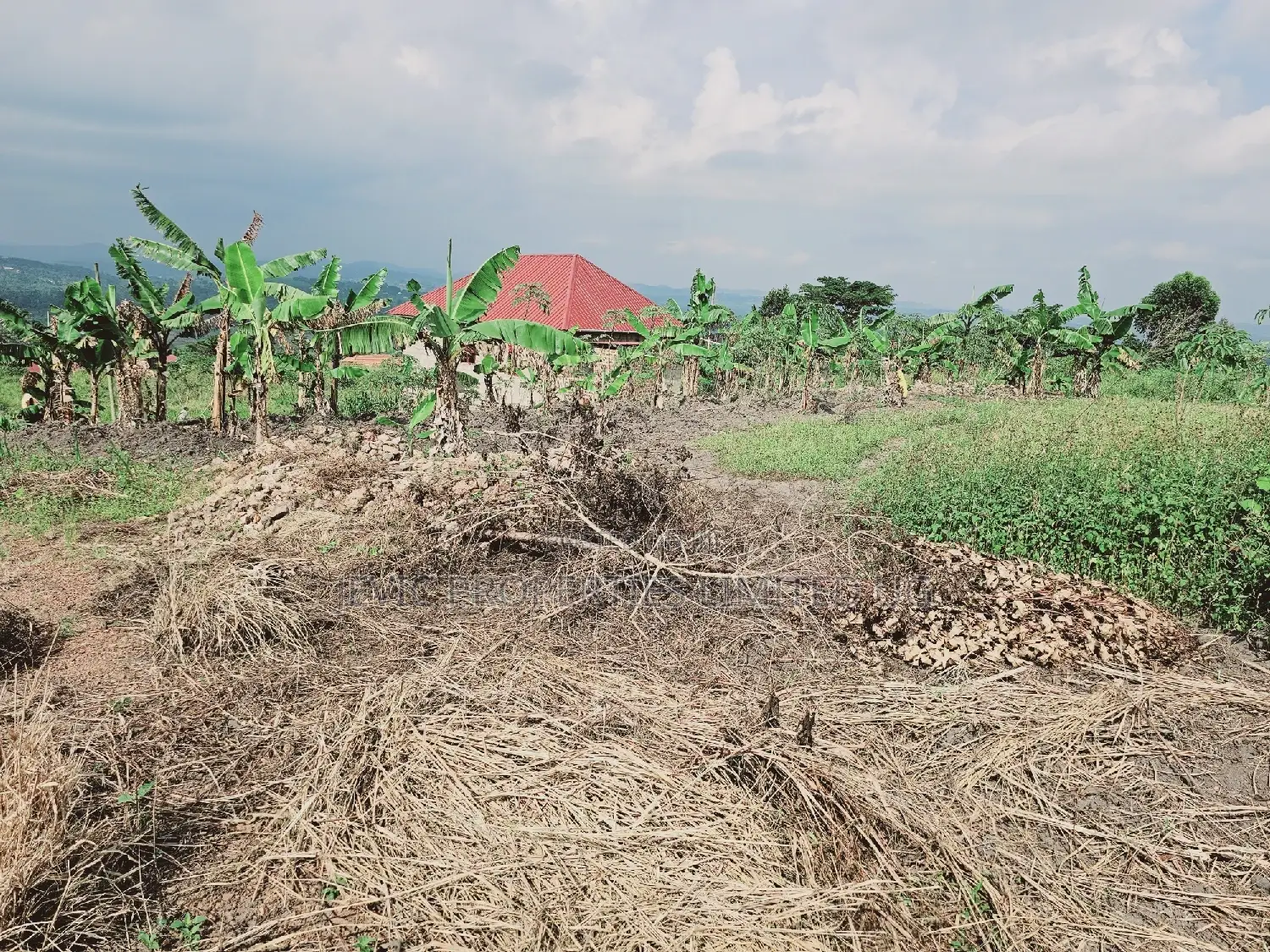 Do You Dream Big Biger ,Grab This Land No Regret