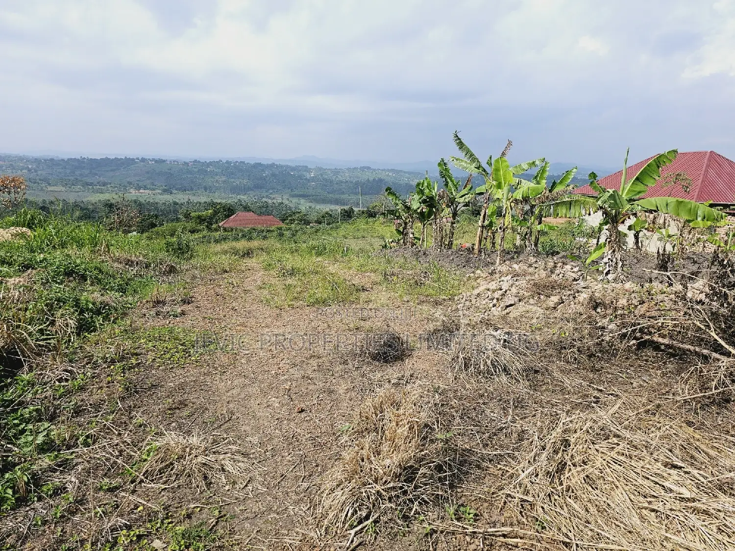 Do You Dream Big Biger ,Grab This Land No Regret