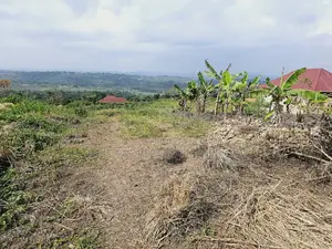 Do You Dream Big Biger ,Grab This Land No Regret