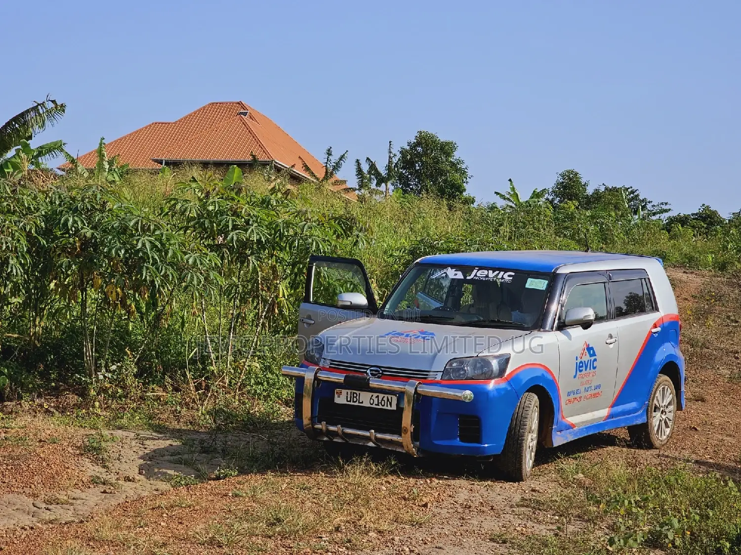 Do You Dream Big Biger ,Grab This Land No Regret