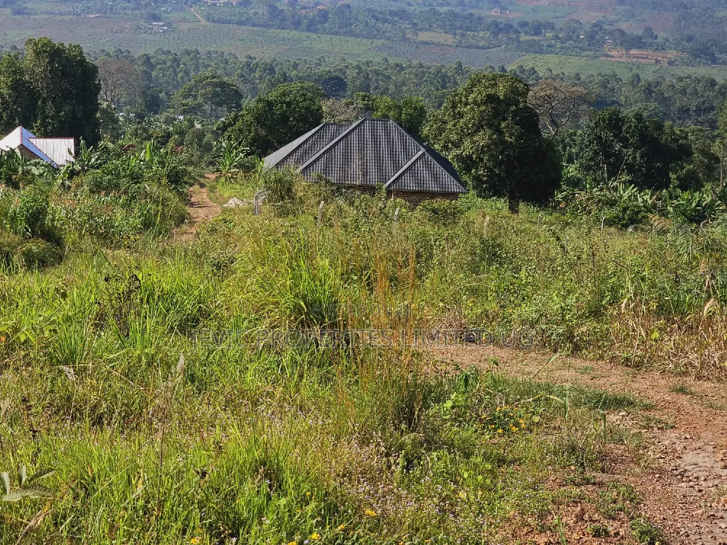 Do You Dream Big Biger ,Grab This Land No Regret