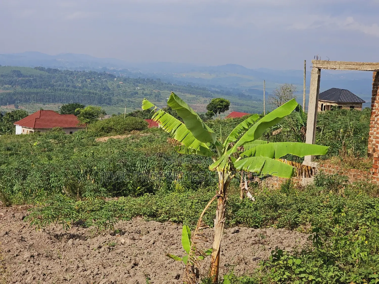 Do You Dream Big Biger ,Grab This Land No Regret