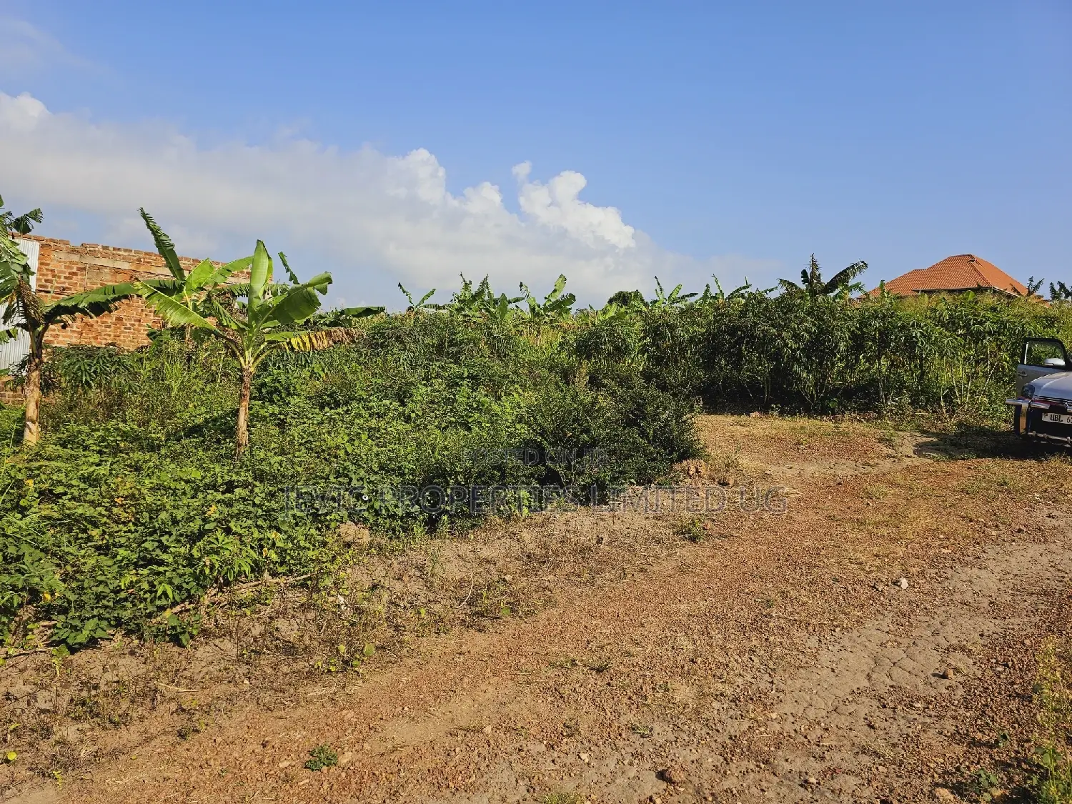 Do You Dream Big Biger ,Grab This Land No Regret