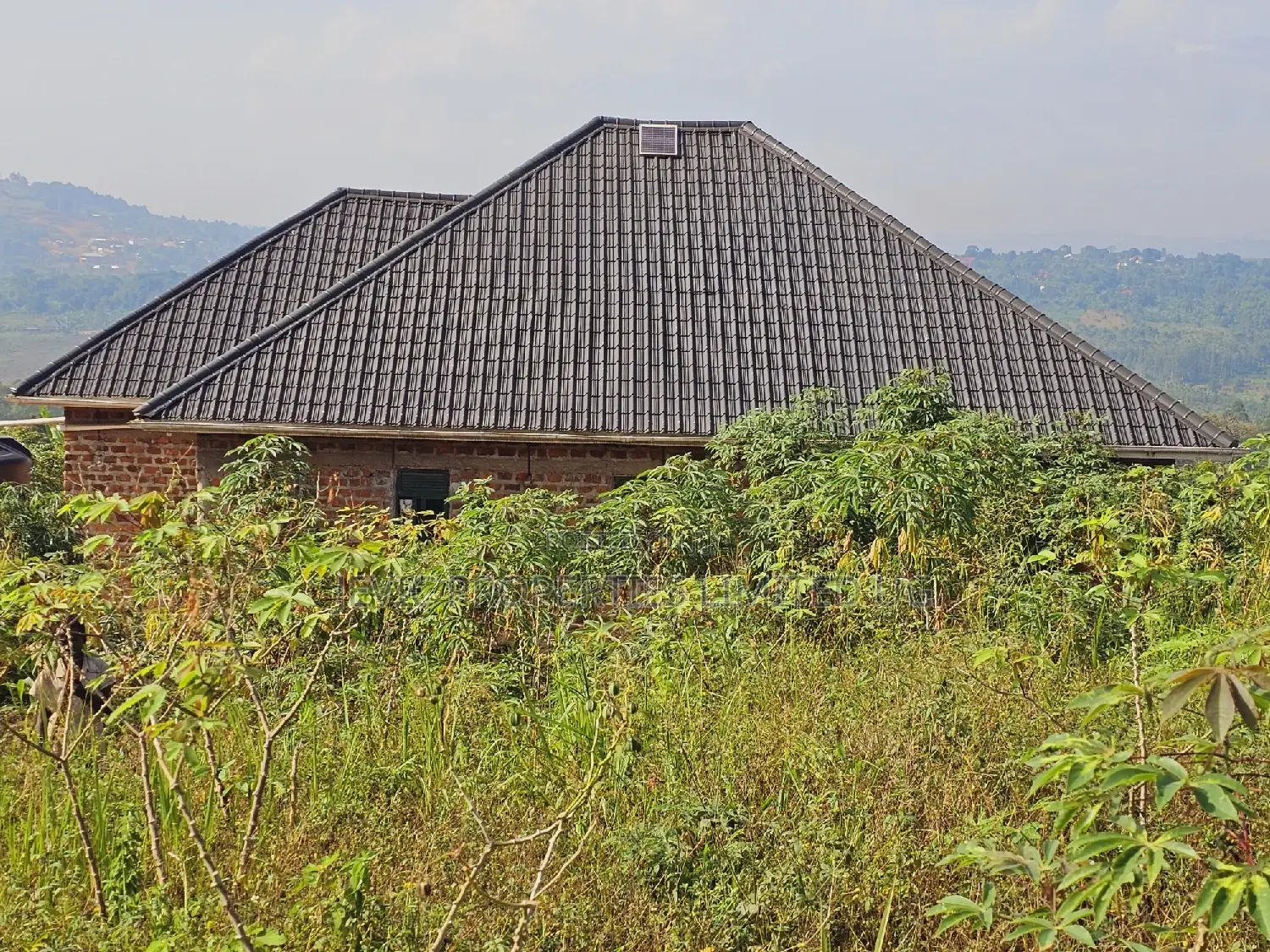 Do You Dream Big Biger ,Grab This Land No Regret
