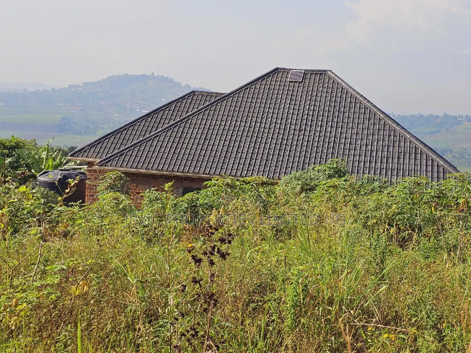 Do You Dream Big Biger ,Grab This Land No Regret