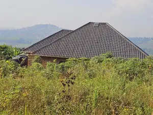 Do You Dream Big Biger ,Grab This Land No Regret
