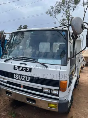 Isuzu Double Lights