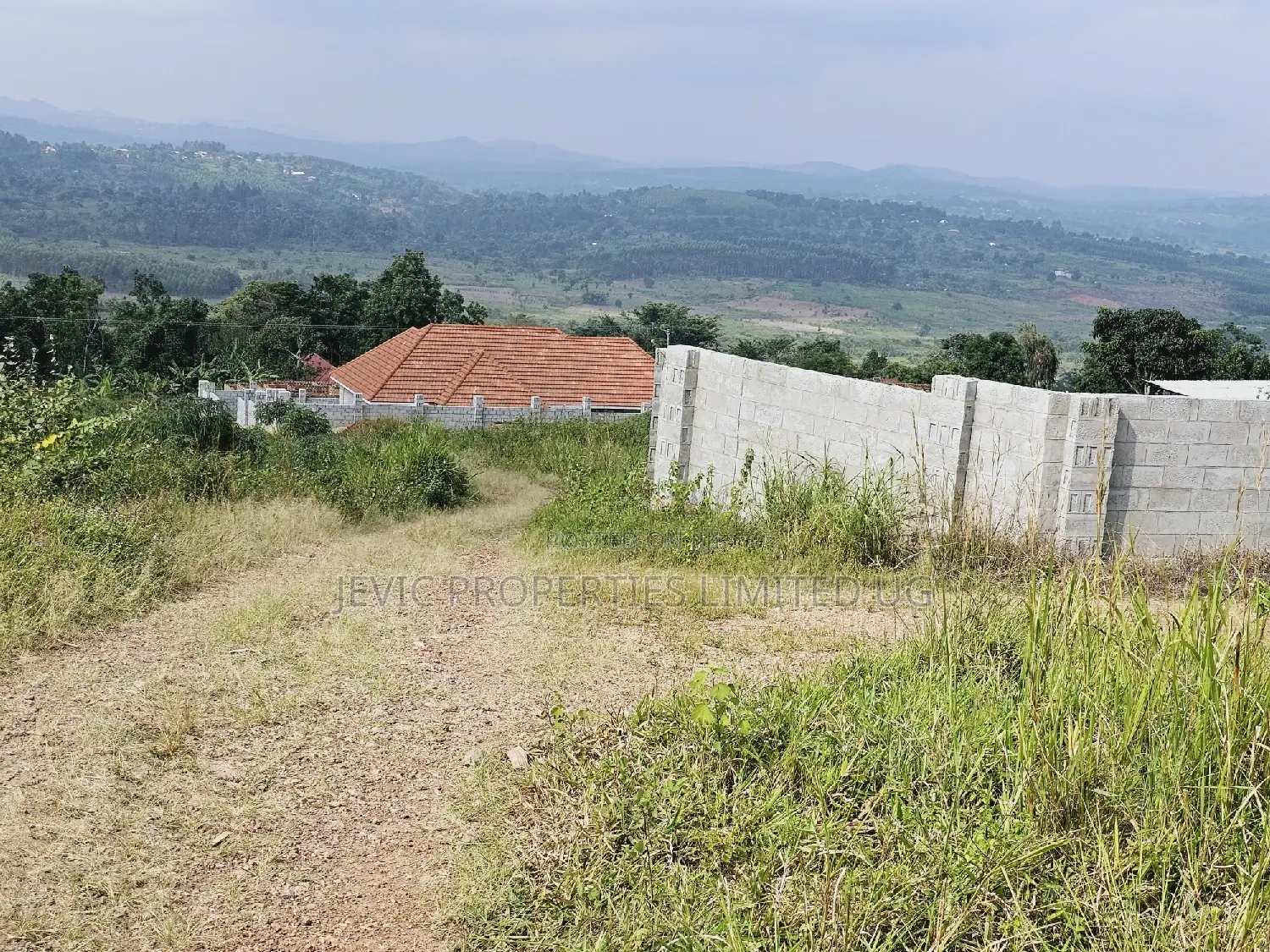 Do You Dream Big Biger ,Grab This Land No Regret