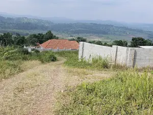 Do You Dream Big Biger ,Grab This Land No Regret