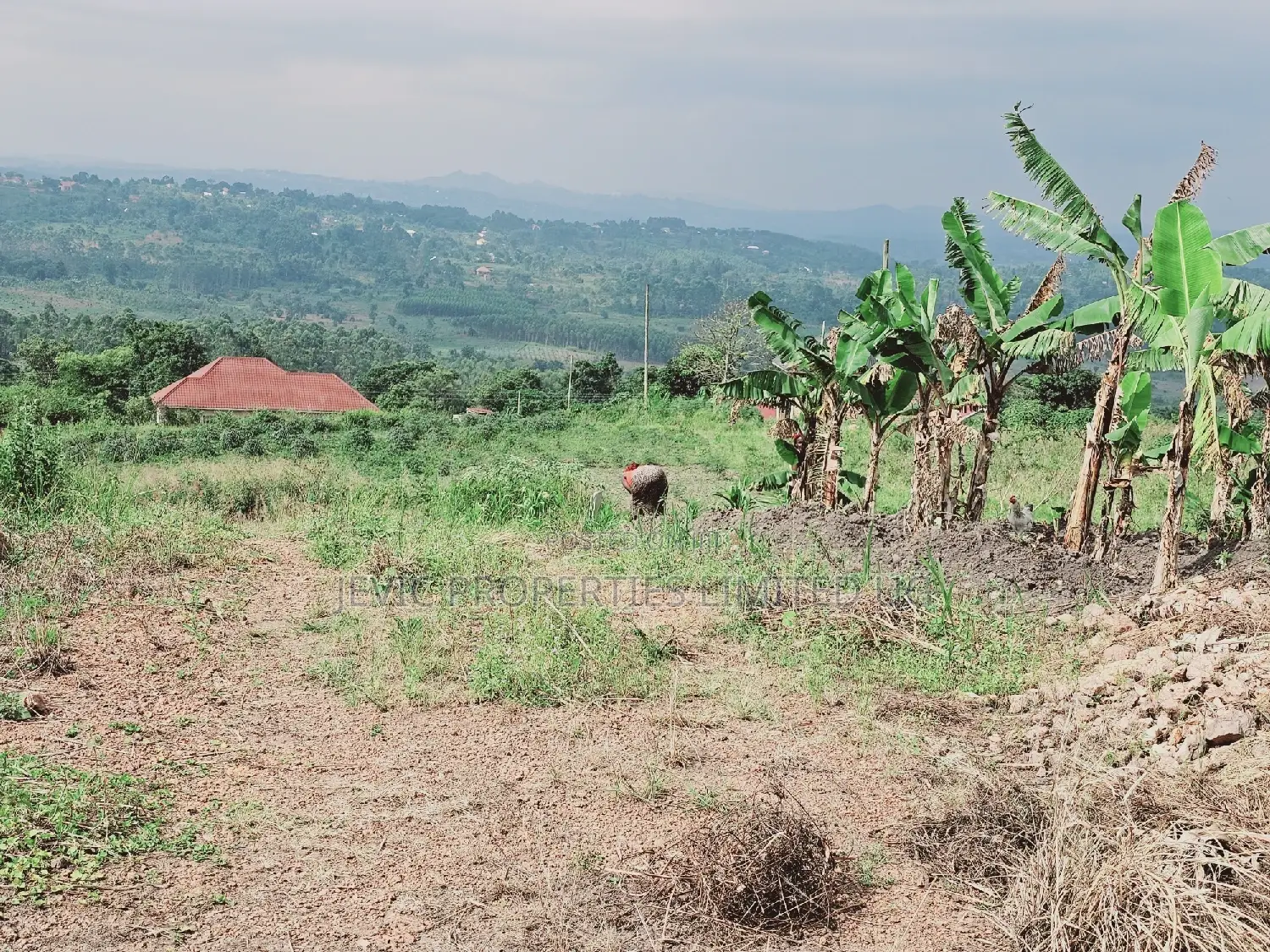 Here Comes a Chance to Own Land at Kakiri-Jevic Properties
