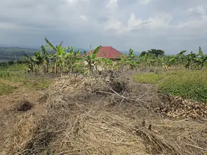 Here Comes a Chance to Own Land at Kakiri-Jevic Properties