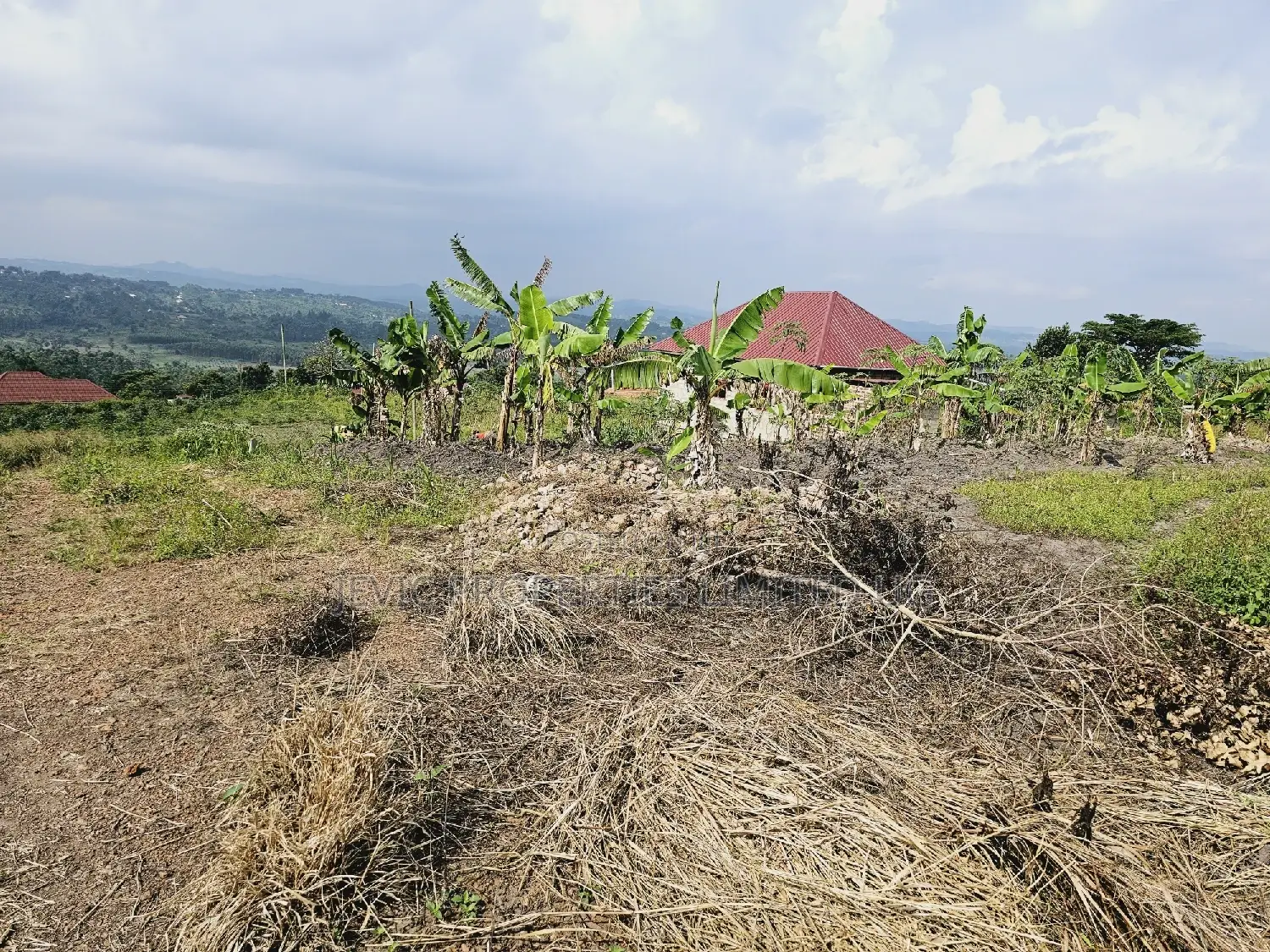 Am Selling This Land at - Wakiso Kakiri -Hoima Rd Urgently