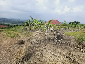 Am Selling This Land at - Wakiso Kakiri -Hoima Rd Urgently