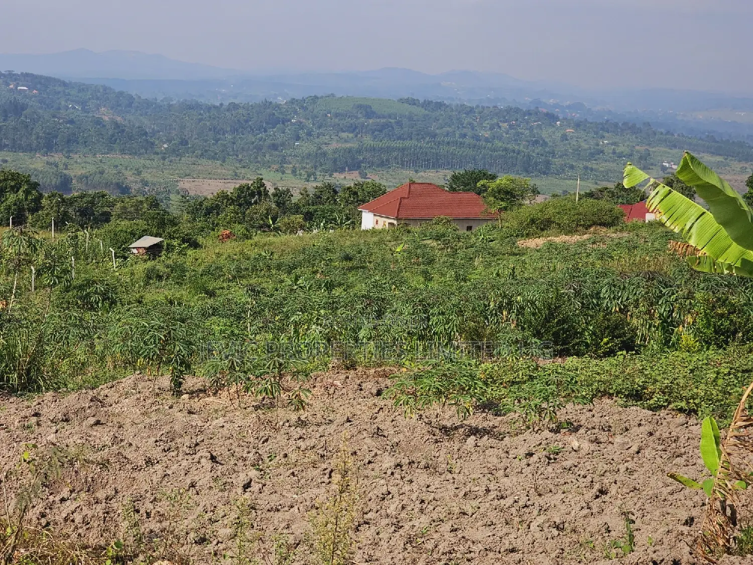 Am Selling This Land at - Wakiso Kakiri -Hoima Rd Urgently