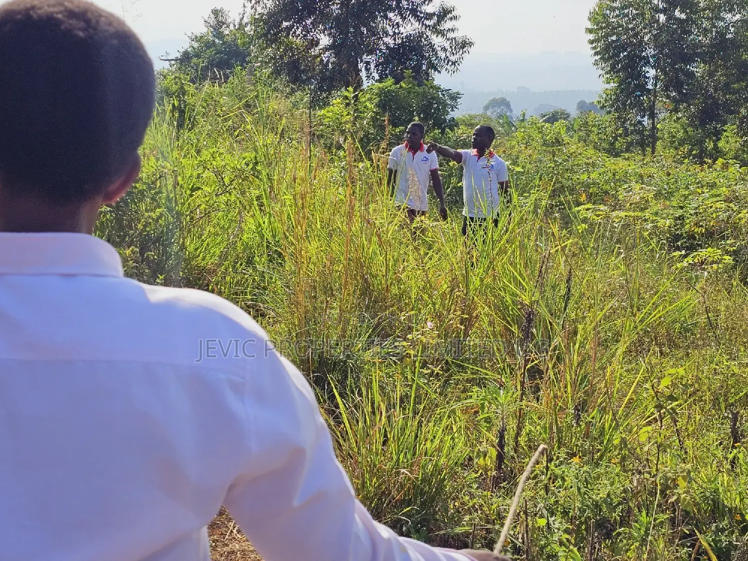 Am Selling This Land at - Wakiso Kakiri -Hoima Rd Urgently