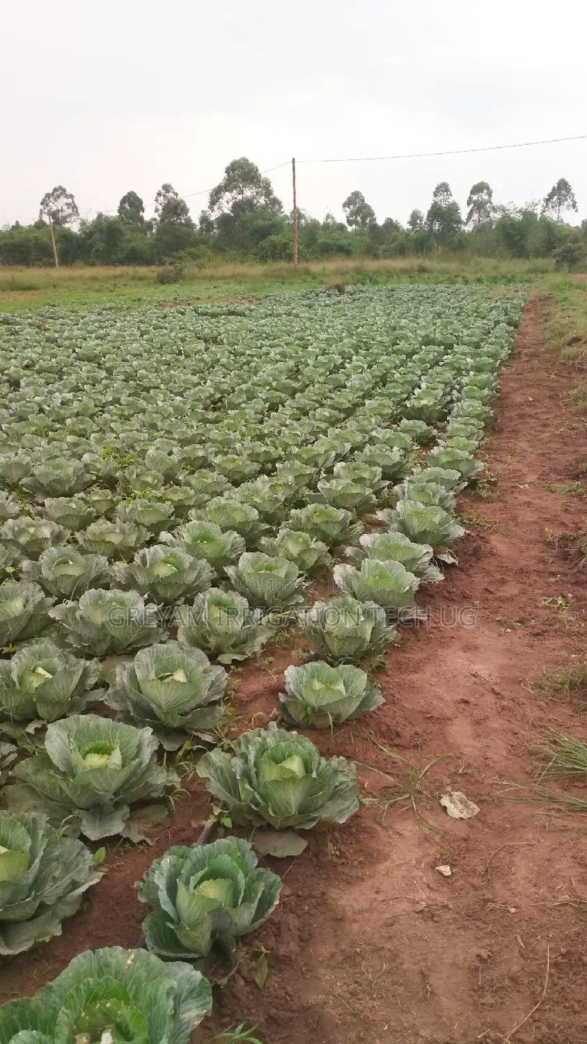 Drip Tape For Drip Irrigation Systems