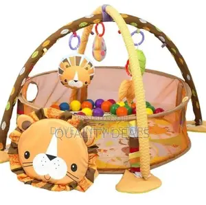 3in1 Cartoon Infant Activity Gym and Ball Pit